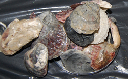 mb3_250x154_crop_478b24840a