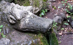 prir2_250x154_crop_478b24840a