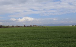 167800381-443384390285222-4384497649075955305-n_250x154_crop_478b24840a