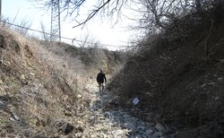 167910123-872233286667688-8496305012114474630-n_250x154_crop_478b24840a