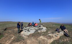 167919596-274809707479574-5485378584961426537-n_250x154_crop_478b24840a