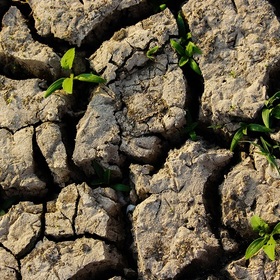 pochva-unsplash_280x280_crop_478b24840a