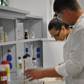 vilma-1_280x280_crop_478b24840a