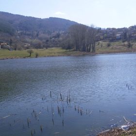 murchaevo-noem-2016_280x280_crop_478b24840a