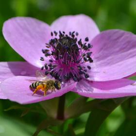 1926269-10201711701776480-1361186526613043223-o_280x280_crop_478b24840a