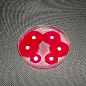 picture1_280x280_crop_478b24840a