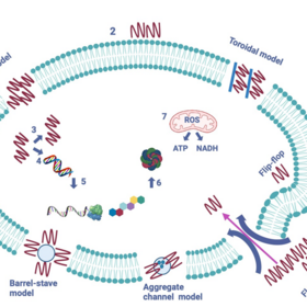 amp_280x280_crop_478b24840a