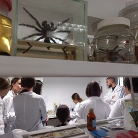 img-3de7e0fb22a38c2efc9b26d626a27eb0-v_280x280_crop_478b24840a