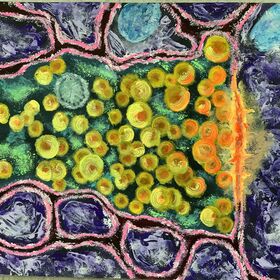 img-7326_280x280_crop_478b24840a