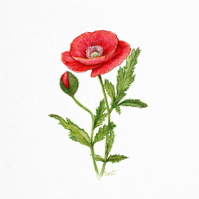 chat-gpt-image-25-02-2026-11-15-56_280x280_crop_478b24840a