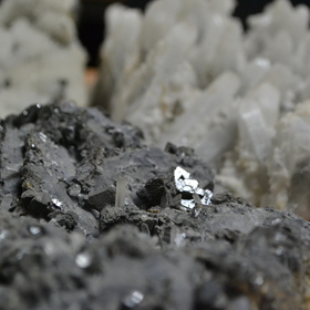 dsc-0948_280x280_crop_478b24840a