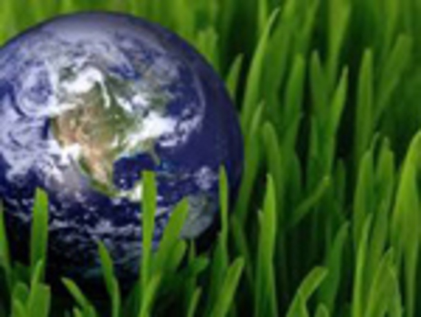 earth2014-1_612x830_fit_478b24840a