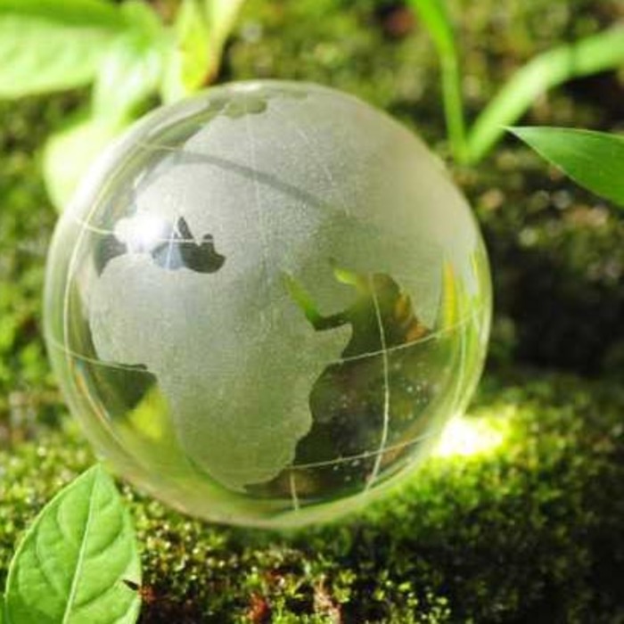 opazvane_700x700_crop_478b24840a