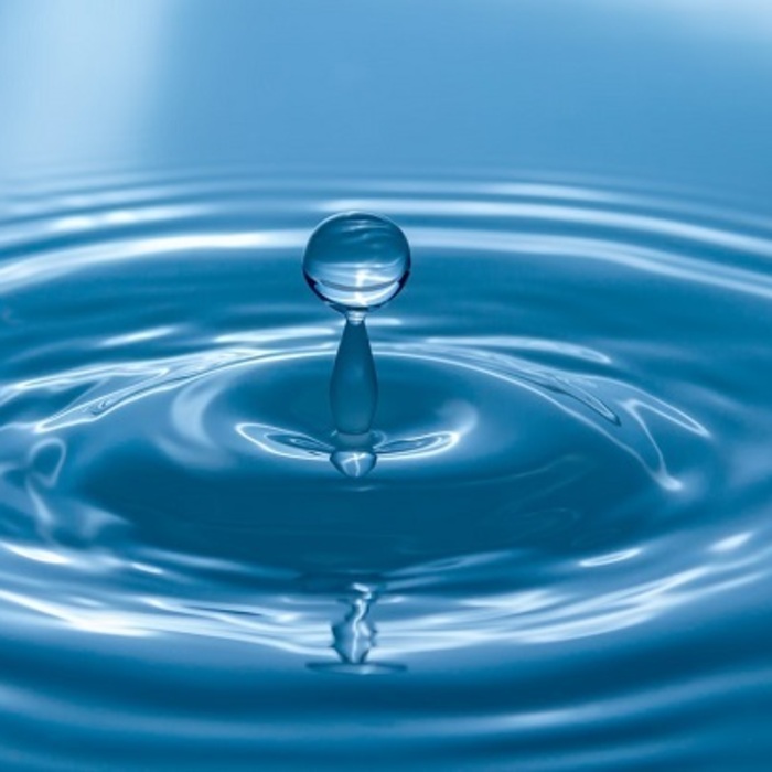 028_700x700_crop_478b24840a