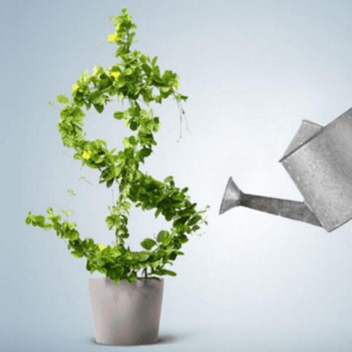 plant-studyaboard_700x700_crop_478b24840a