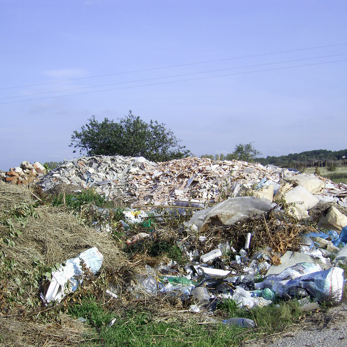 antrop-vlianie-jan-2017_700x700_crop_478b24840a