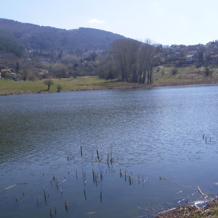 murchaevo-noem-2016_700x700_crop_478b24840a