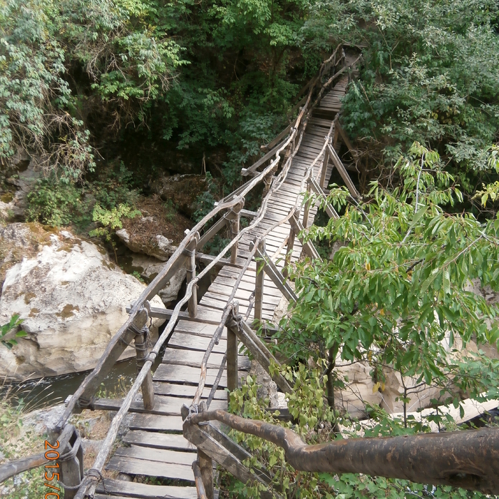 zt-jan-2017_700x700_crop_478b24840a