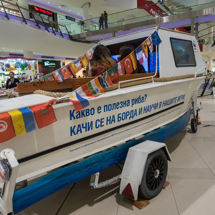 sts5923-2_700x700_crop_478b24840a