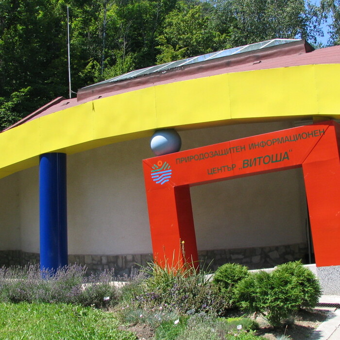 vito6a6_700x700_crop_478b24840a