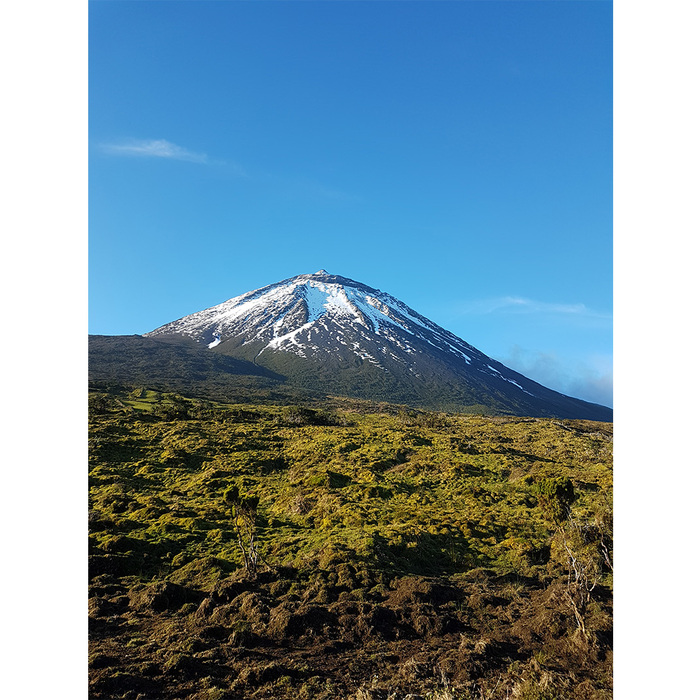 piko_700x700_crop_478b24840a