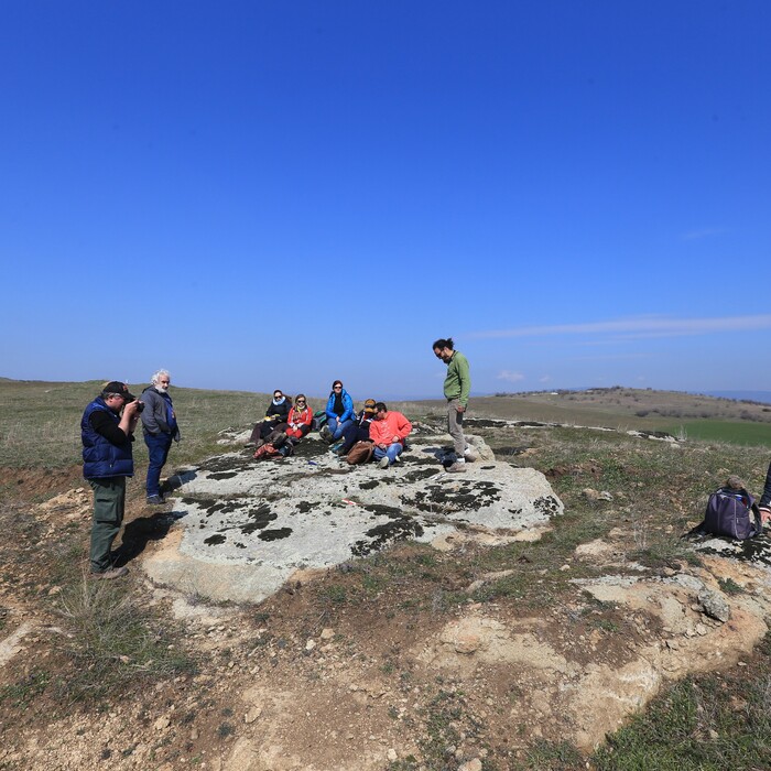 167919596-274809707479574-5485378584961426537-n_700x700_crop_478b24840a