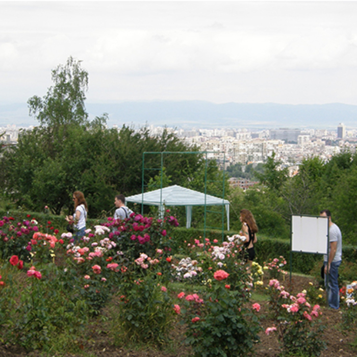 php-thumb-generated-thumbnailjpg_700x700_crop_478b24840a