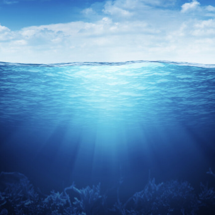 768x432_700x700_crop_478b24840a