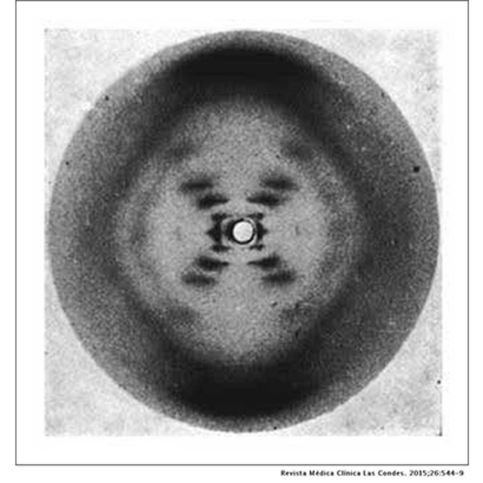 dna_700x700_crop_478b24840a