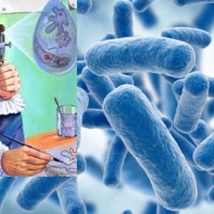 207266a2a4d1193bbc2ea57214969d50_700x700_crop_478b24840a