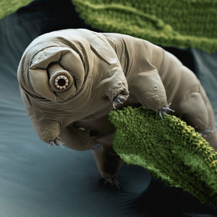 12_700x700_crop_478b24840a