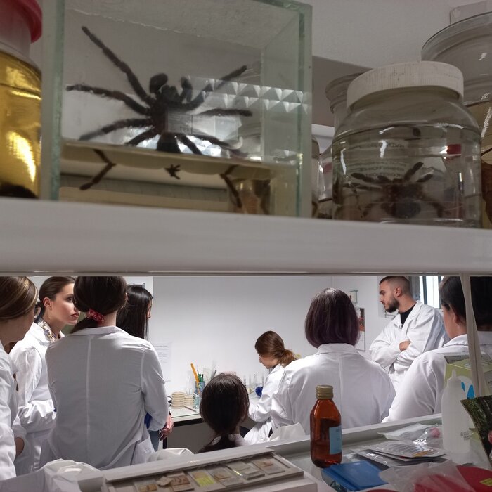 img-3de7e0fb22a38c2efc9b26d626a27eb0-v_700x700_crop_478b24840a