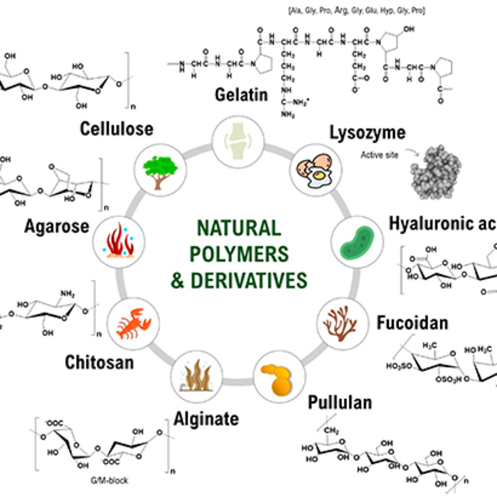 untitled-1_700x700_crop_478b24840a