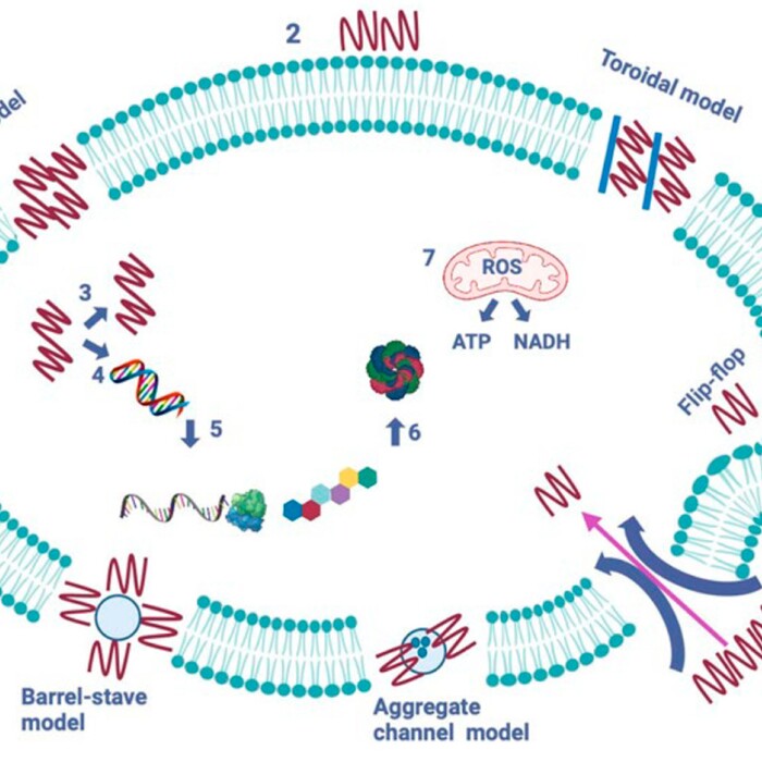sachanska_700x700_crop_478b24840a