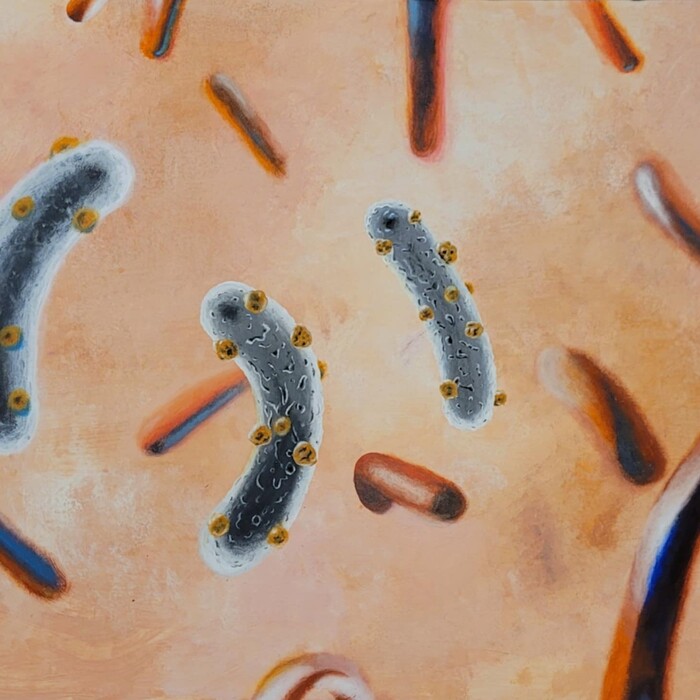 vvid-k-fg_700x700_crop_478b24840a