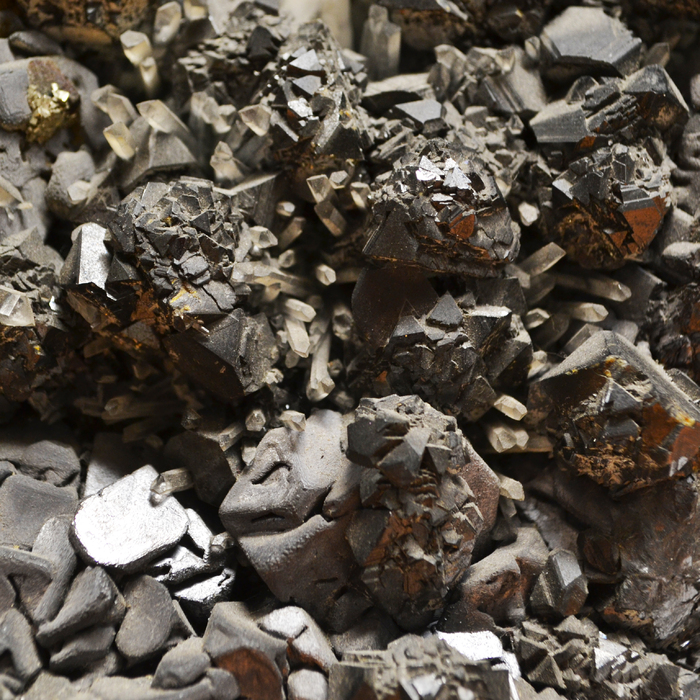 dsc-0913_700x700_crop_478b24840a