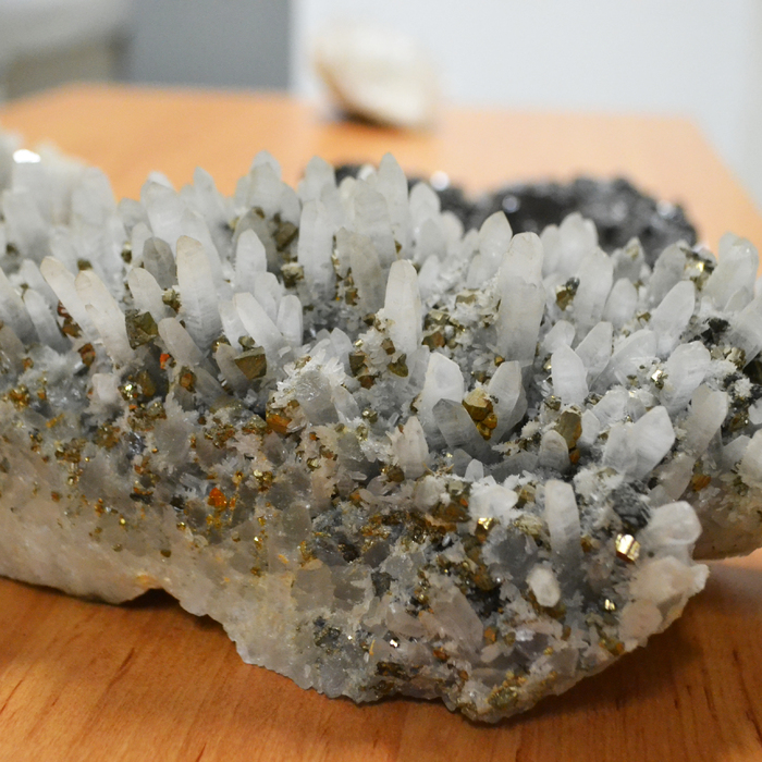 dsc-0933_700x700_crop_478b24840a