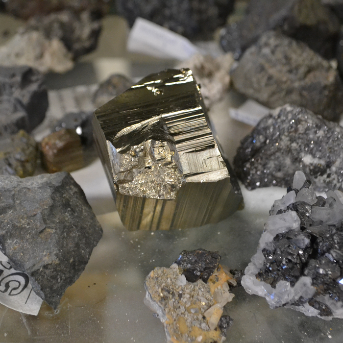 dsc-0969_700x700_crop_478b24840a