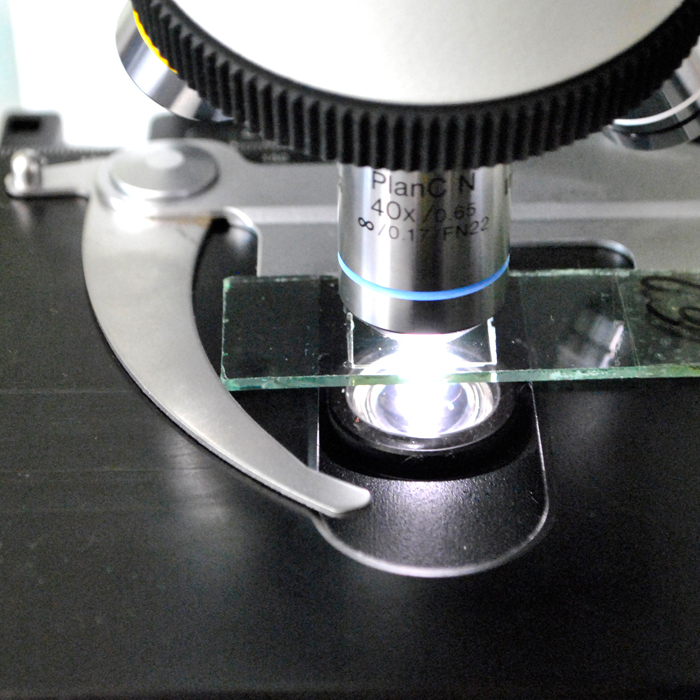 dsc0128_700x700_crop_478b24840a