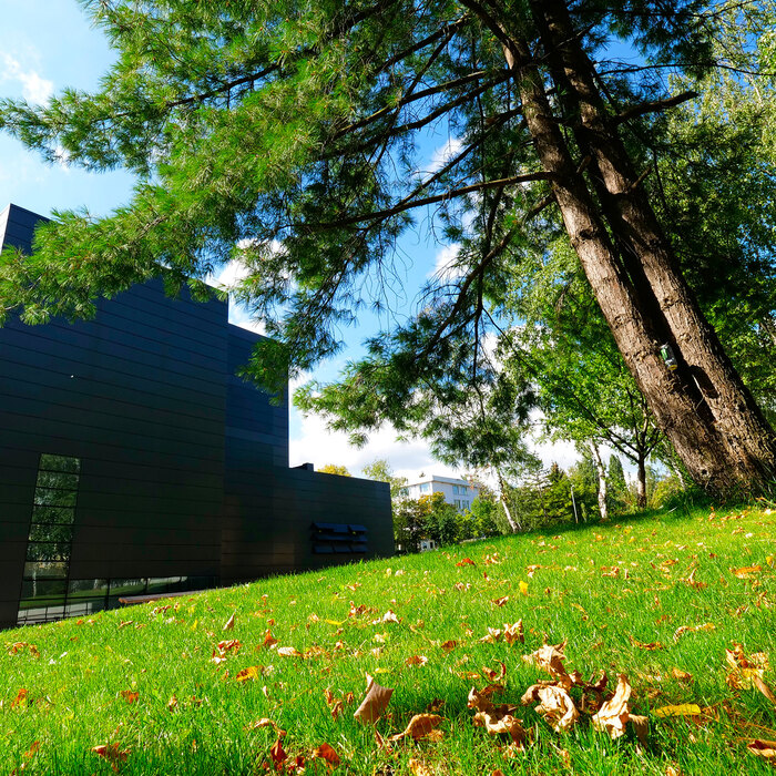 1922252_700x700_crop_478b24840a