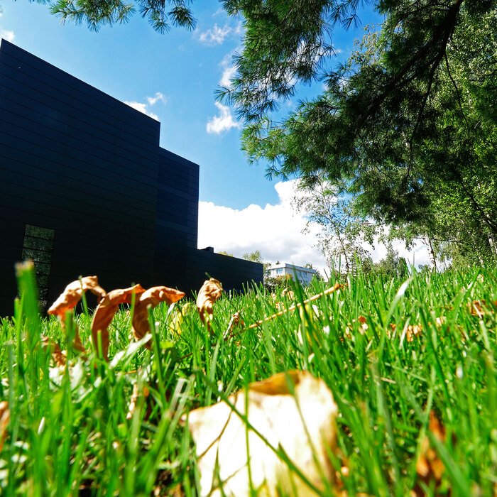 1922262_700x700_crop_478b24840a