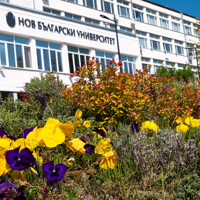 2566413_700x700_crop_478b24840a