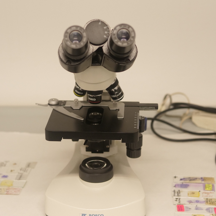 1500530_700x700_crop_478b24840a