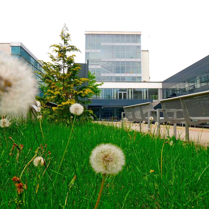 1799891_700x700_crop_478b24840a