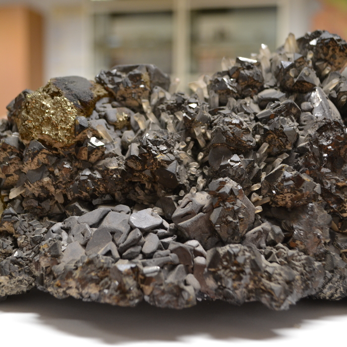 dsc-0910_700x700_crop_478b24840a