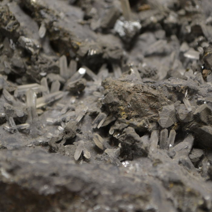 dsc-0930_700x700_crop_478b24840a