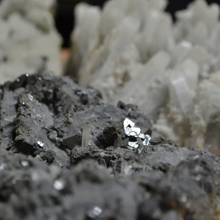 dsc-0948_700x700_crop_478b24840a